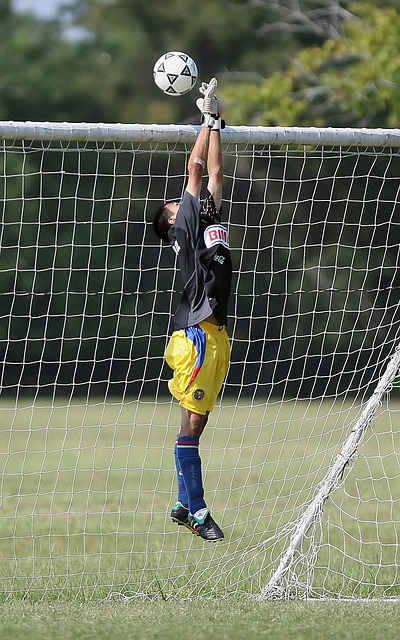 在如此重要 在如此重要