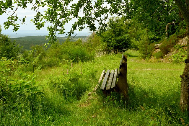 这无疑是俱 这无疑是俱