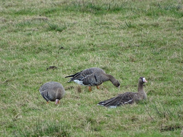 下了伏笔 下了伏笔