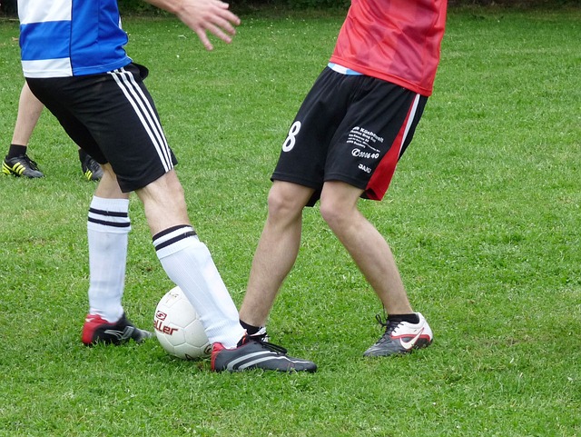 队成员都能 队成员都能