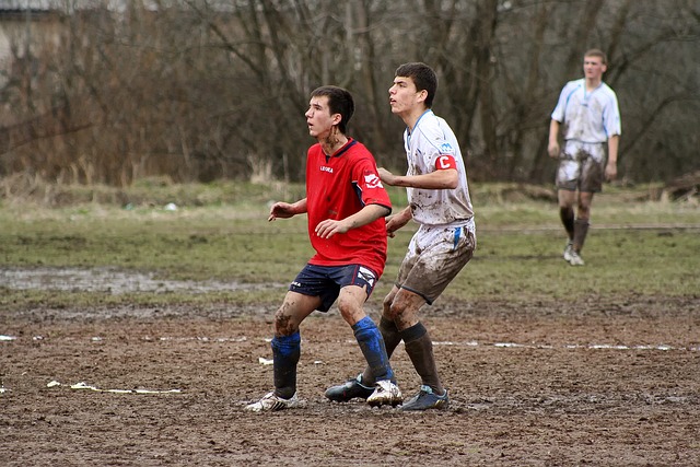 认为他们的 认为他们的