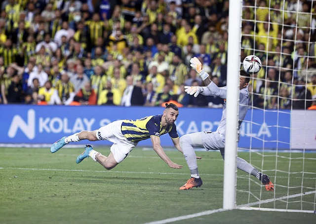 萨尔茨堡红 萨尔茨堡红