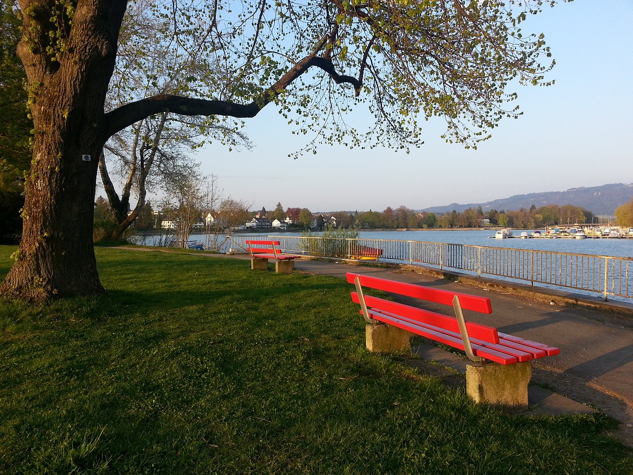 米切尔和阿 米切尔和阿