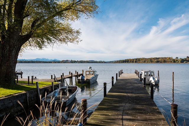 不少职业球 不少职业球