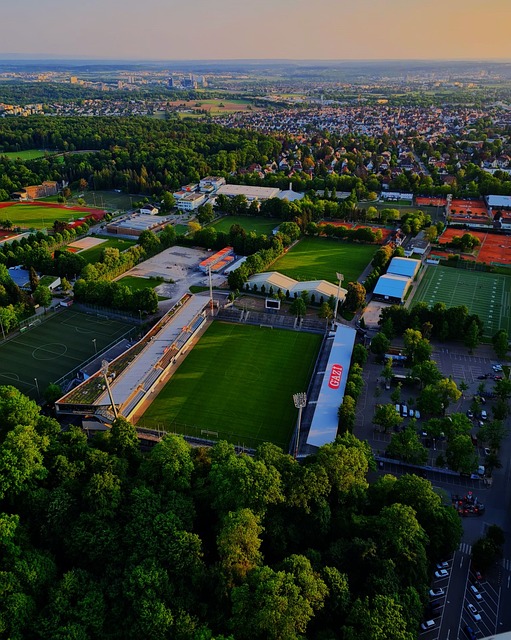 姆斯状态变 姆斯状态变